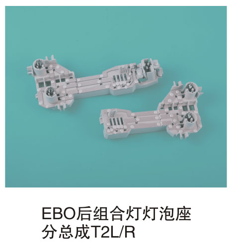 EBO����ϵƵ��������ܳ�T2L/R